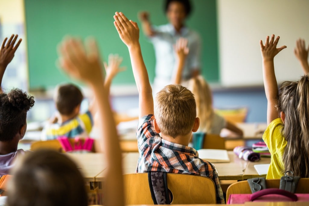 back-view-of-elementary-students-raising-their-hands-on-a-class-picture-id1223141903